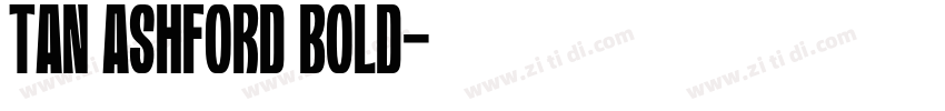 TAN ASHFORD BOLD字体转换